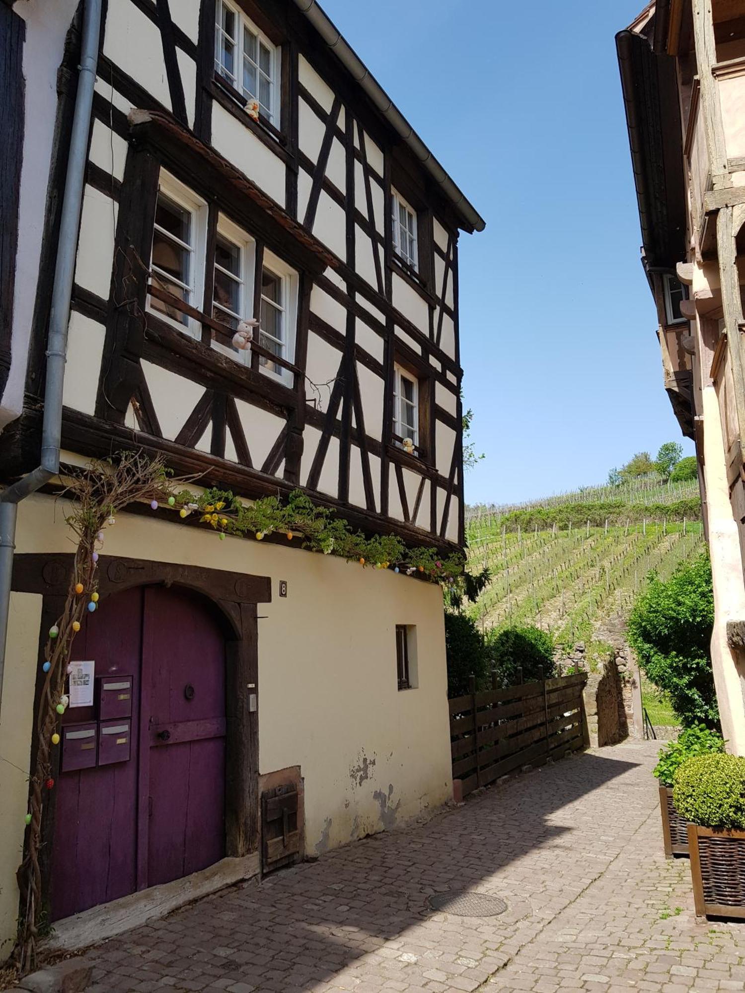 La Maison Vigneronne Riquewihr Eksteriør billede